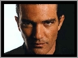 Twarz, Antonio Banderas